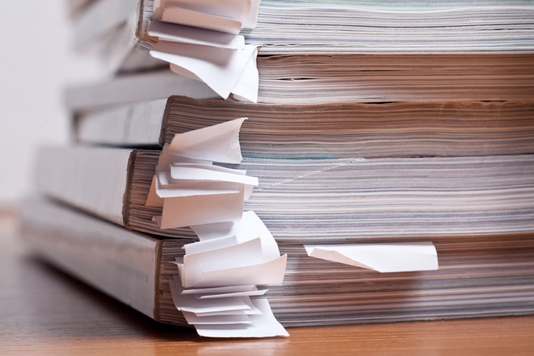 Kudler marketing essay 04 image